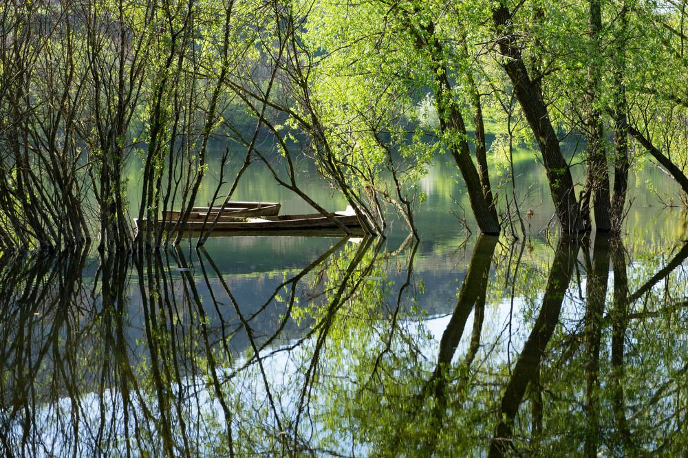 Фотография автора Ирина Зайцева
