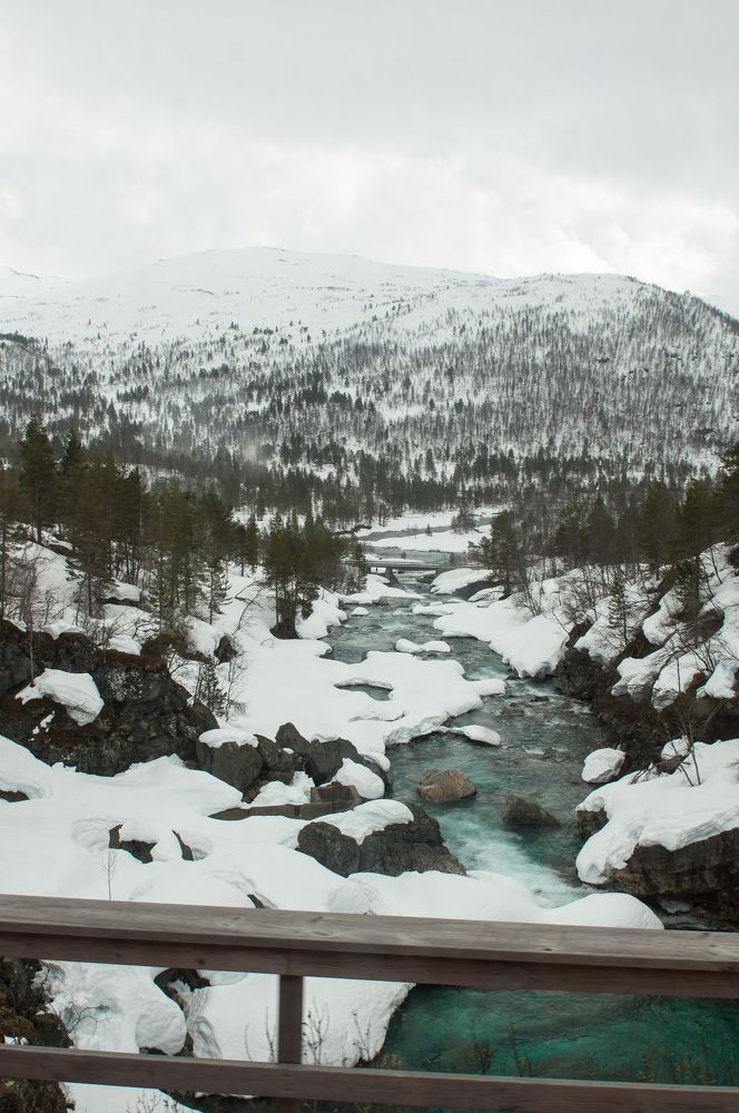 Фотография автора Irina Panina