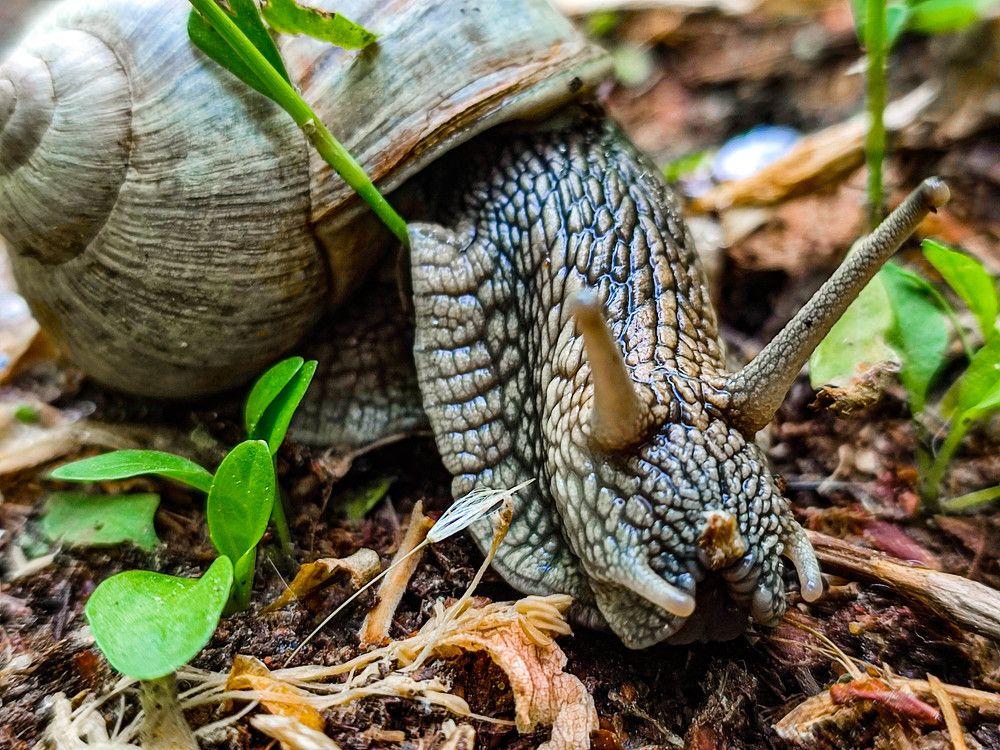 Photograph by Галина Эмберг