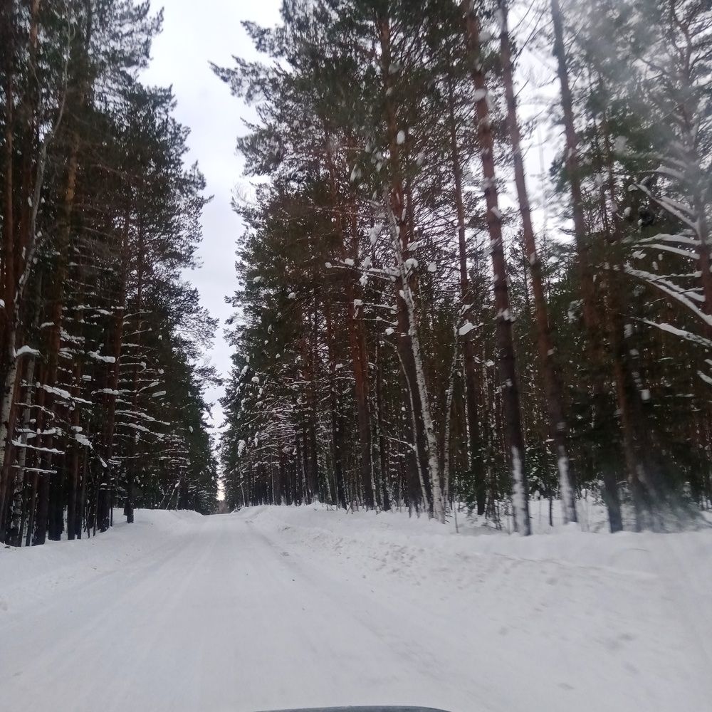 Photograph by Оксана Подъельская