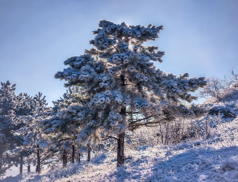 Photograph by Оксана Пономаренко