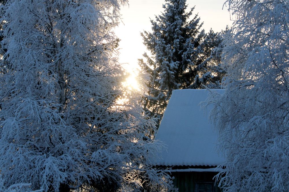 Photograph by Скорняков