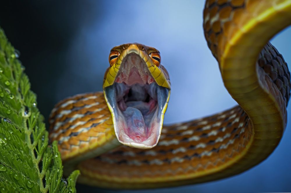 Photograph by Dhruv Shilpi