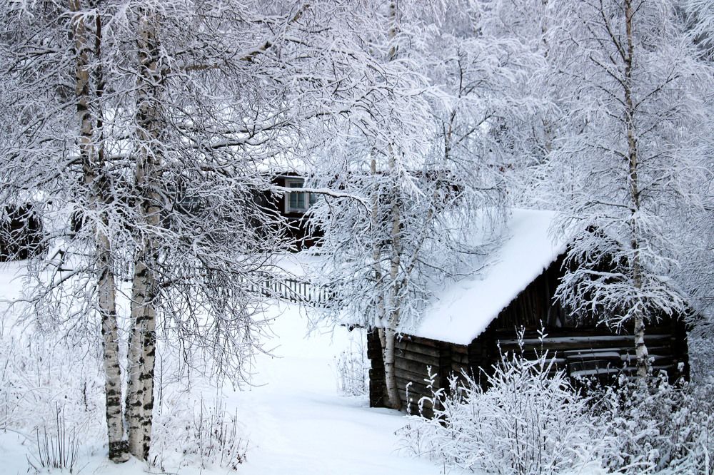 Photograph by Скорняков