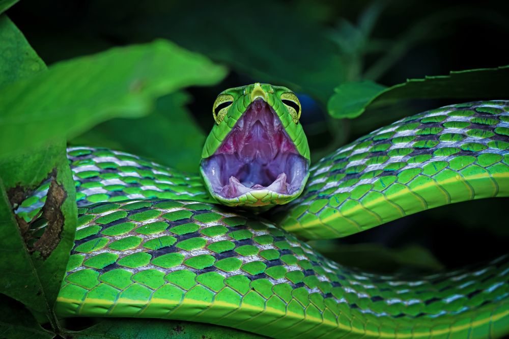 Photograph by Dhruv Shilpi