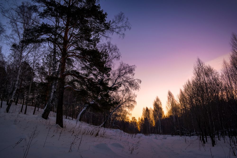 Photograph by Николай Головко