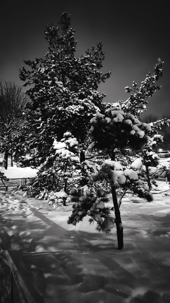 Photograph by Александра Кропивка