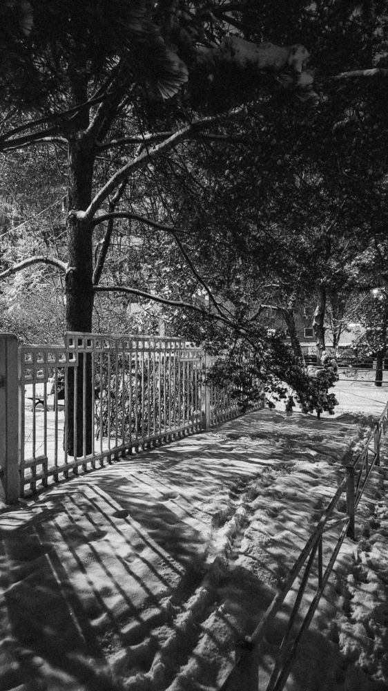 Photograph by Александра Кропивка