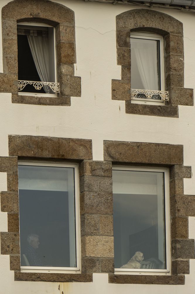 Фотография автора Ирина Зайцева