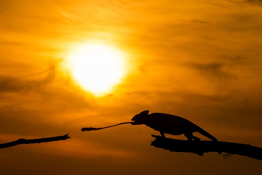 Photograph by Dhruv Shilpi