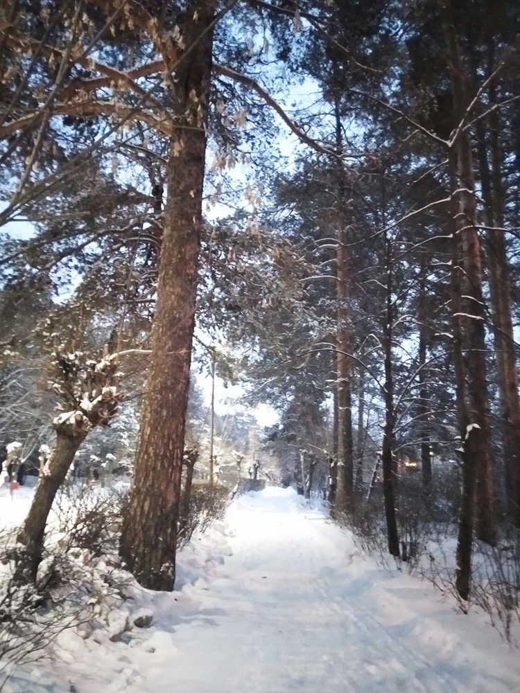 Photograph by Игорь Пшеничников