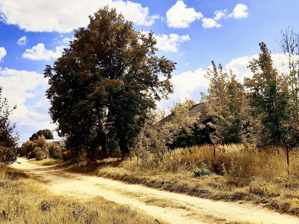 Photograph by Екатерина