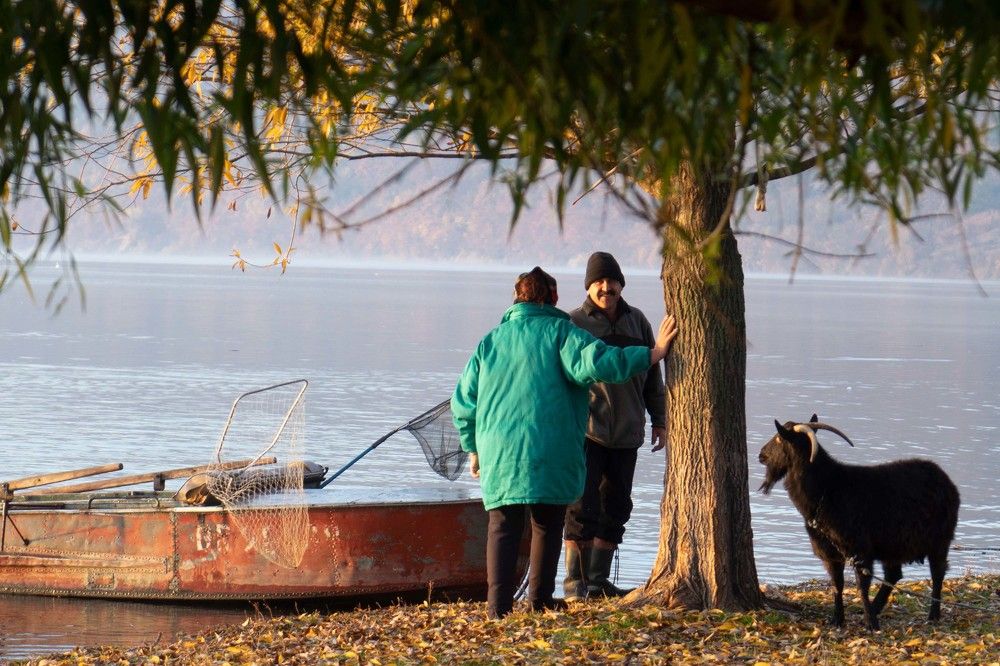 Фотография автора Ирина Зайцева