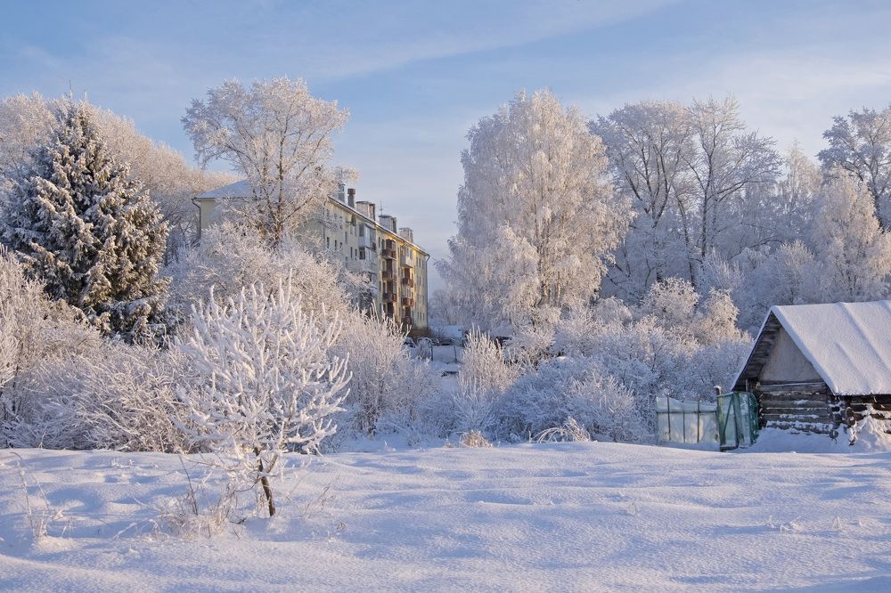 Фотография автора Наталья Липовская