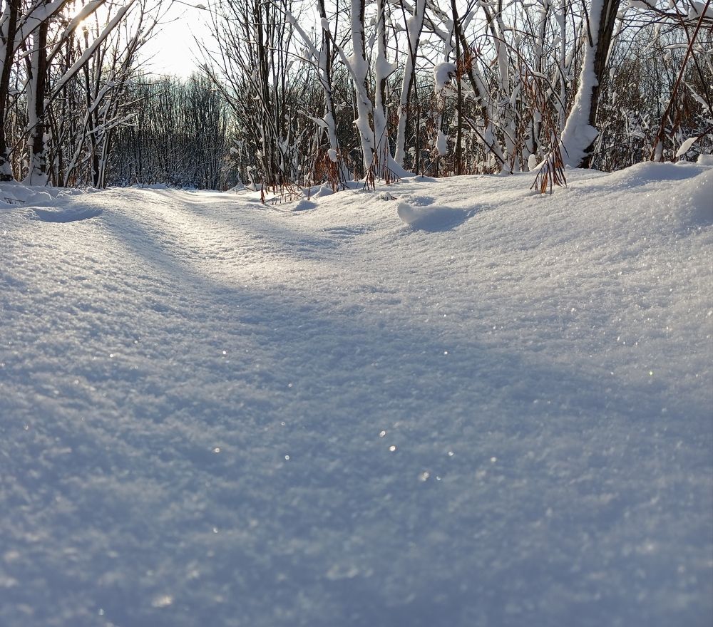 Photograph by Екатерина