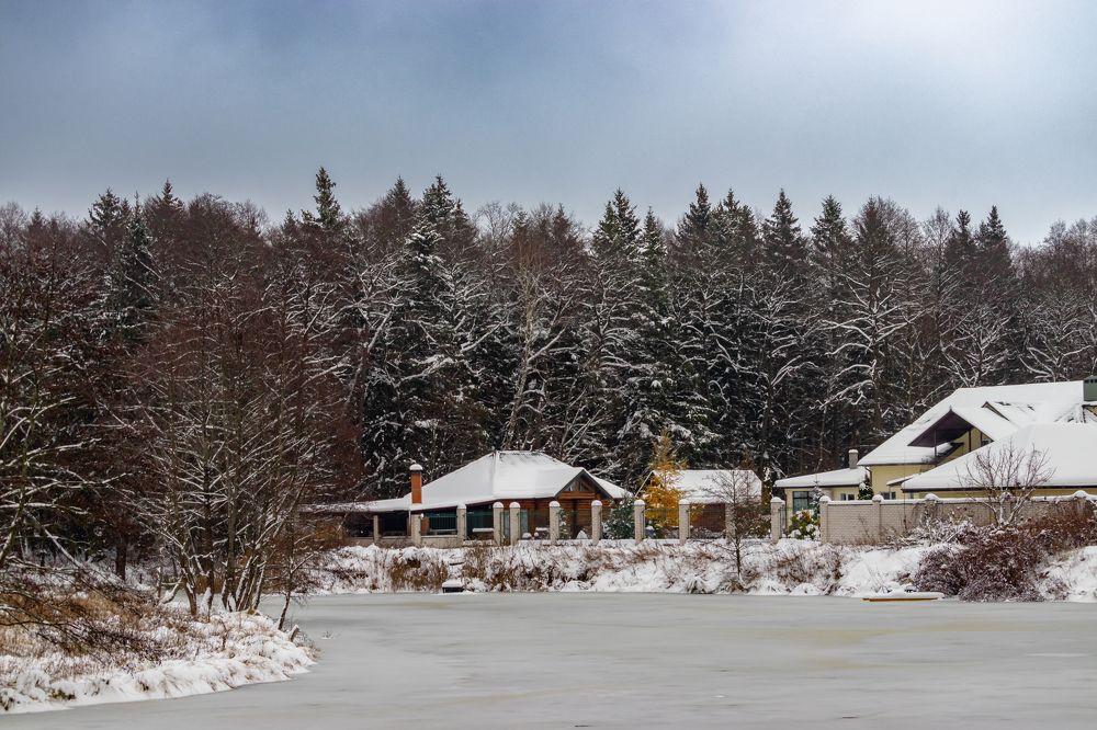 Лесная деревня