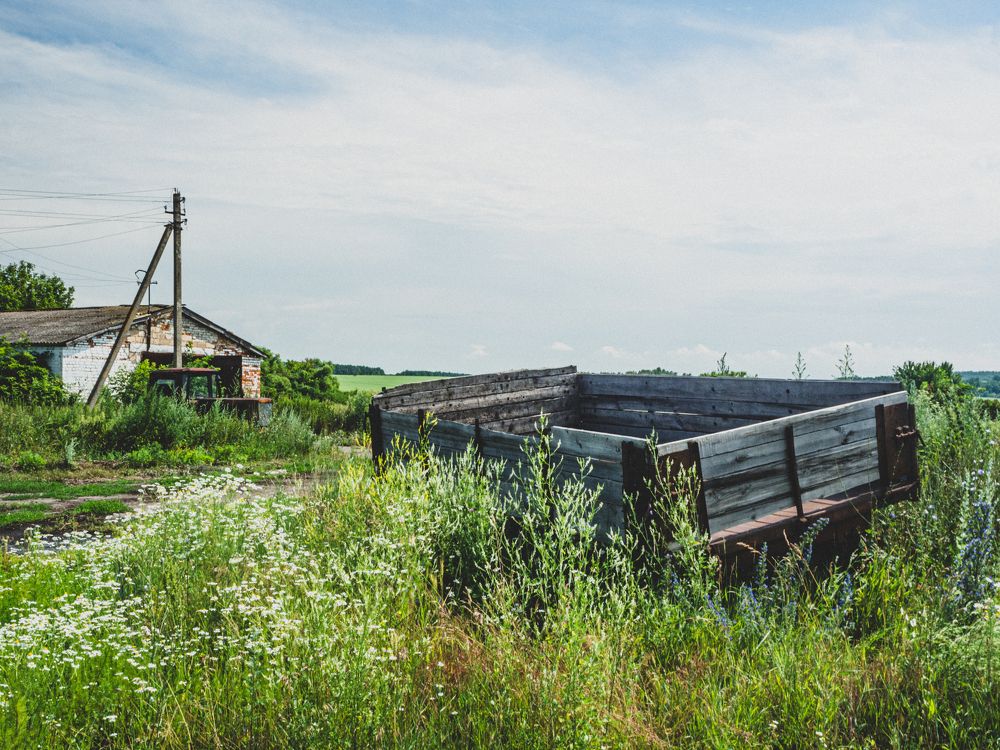 Photograph by Борис Челышев