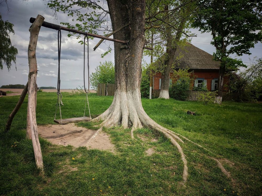 Фотография автора Ольга Сорокина