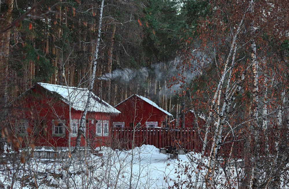 Фотография автора Светлана Цудзевич