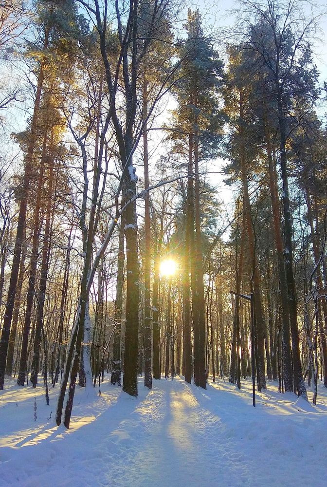 Photograph by Татьяна Кунц