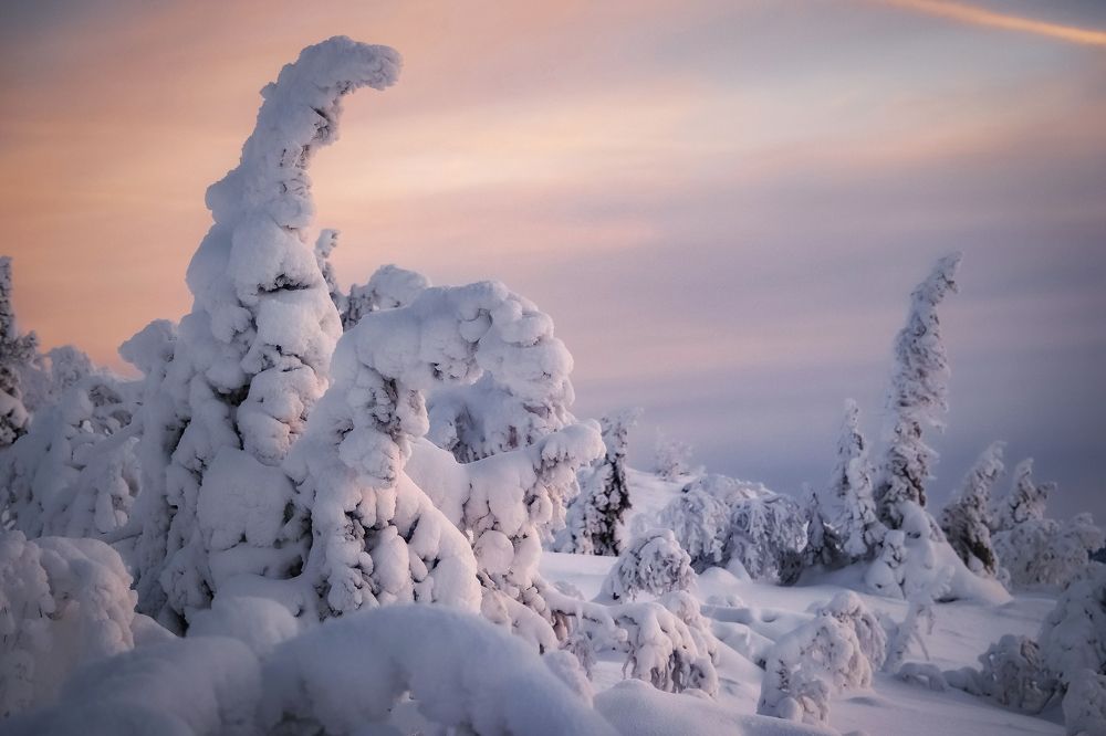 Photograph by Tatiana Meshcheryakova