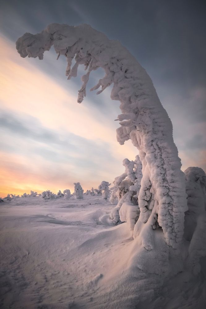 Photograph by Tatiana Meshcheryakova