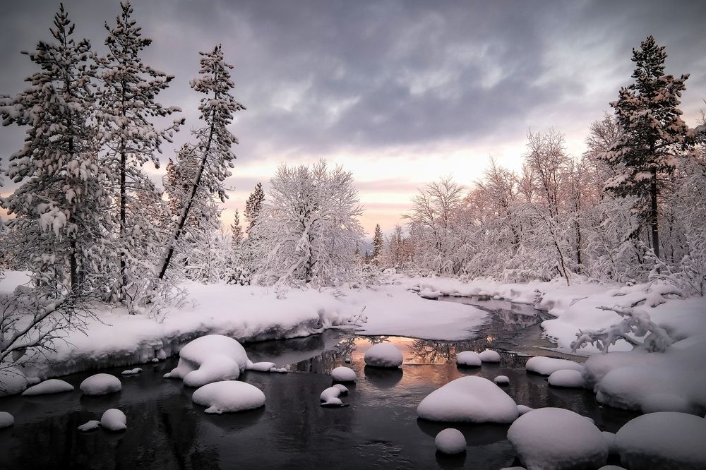 Photograph by Tatiana Meshcheryakova