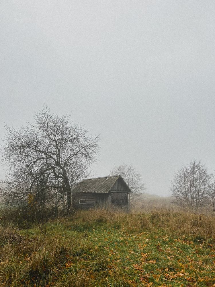 Photograph by Никитина Елена