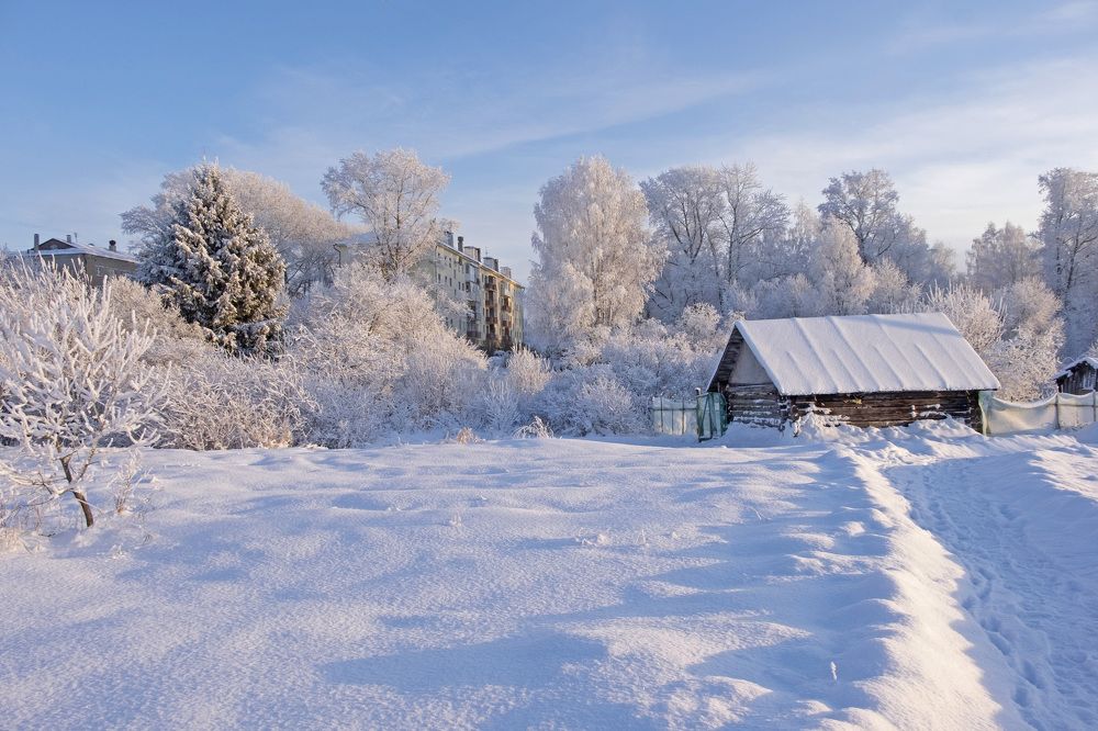 Фотография автора Наталья Липовская
