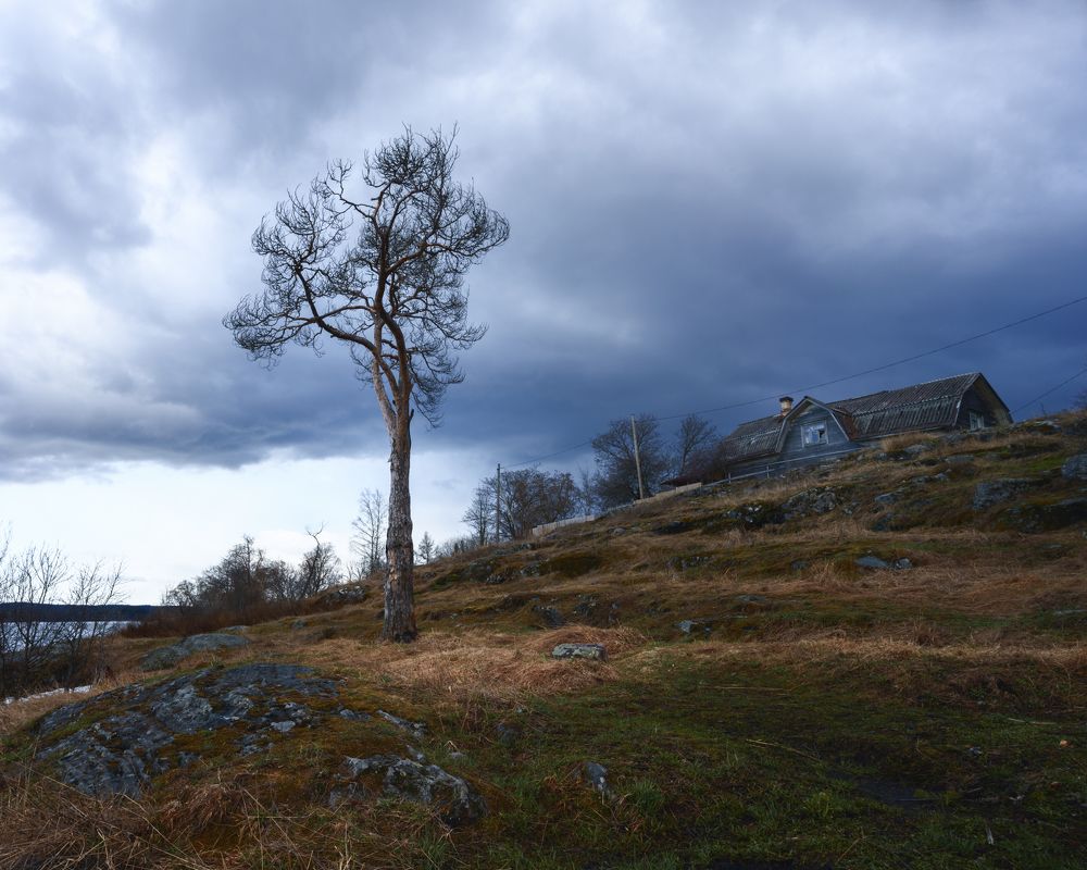 Photograph by Наталья Юрашку