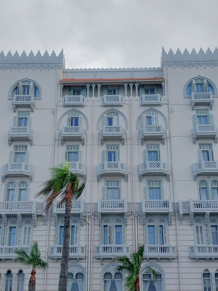 Фотография автора Mennatullah Dakhly