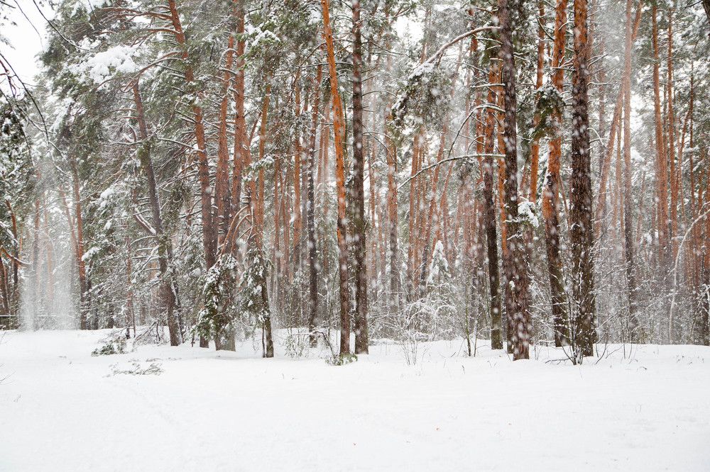 Photograph by Антон Рудской