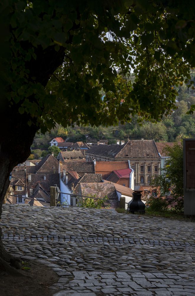 Фотография автора Ирина Зайцева