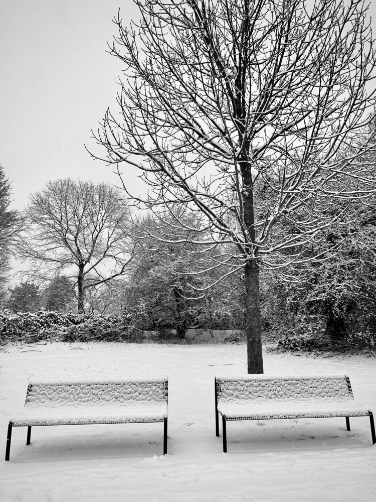 Photograph by Анастасия Мангольд