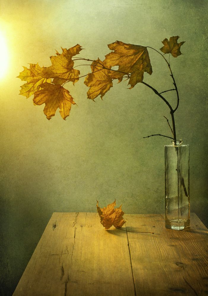 Photograph by Олег Расторгуев