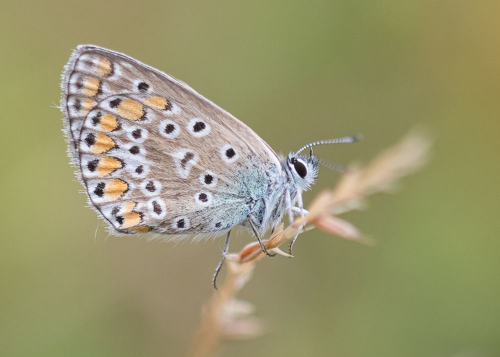 Photograph by Wendy Vanhoudt