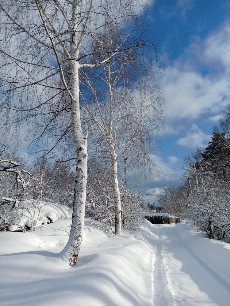 Photograph by Татьяна Пятернёва