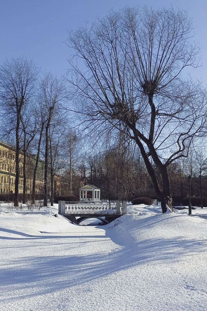 Фотография автора Larisa Meshkova