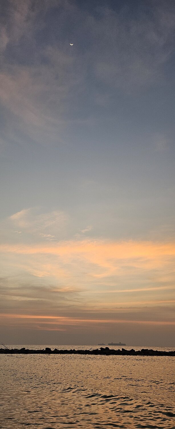 Photo #10130557