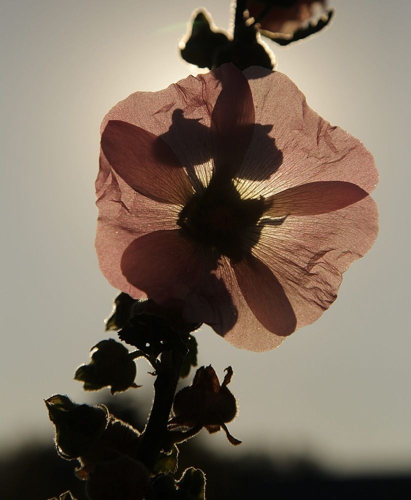 Photograph by Баринов Борис