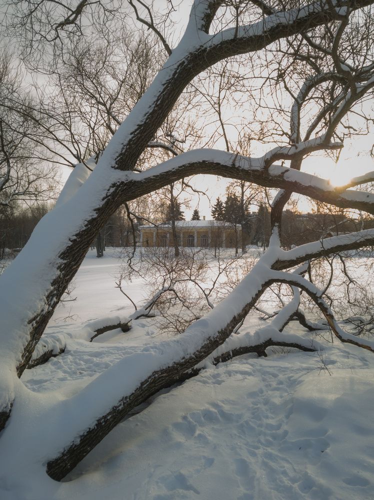 Photograph by Юрий Катков