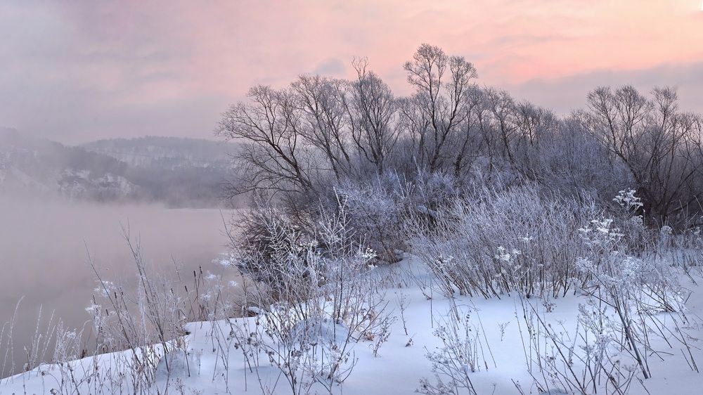 Photograph by Жанна Агафонова