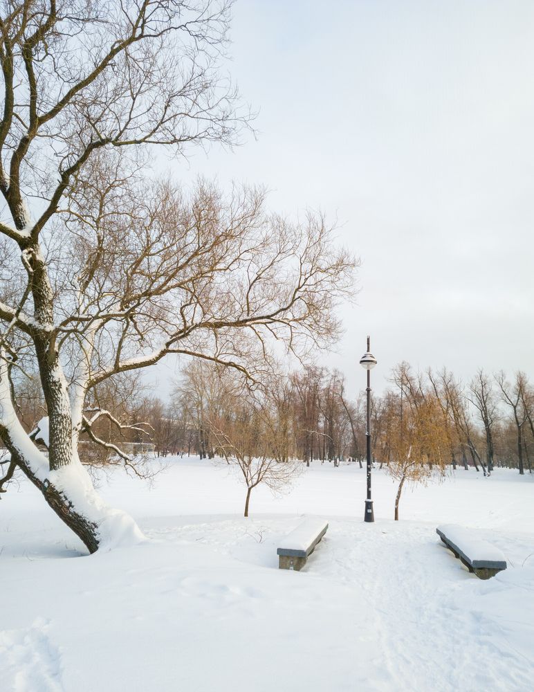 Photograph by Юрий Катков