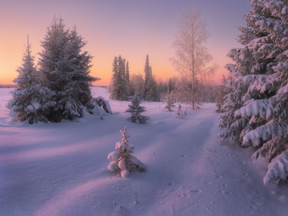 Photograph by Dmitry Medyancev