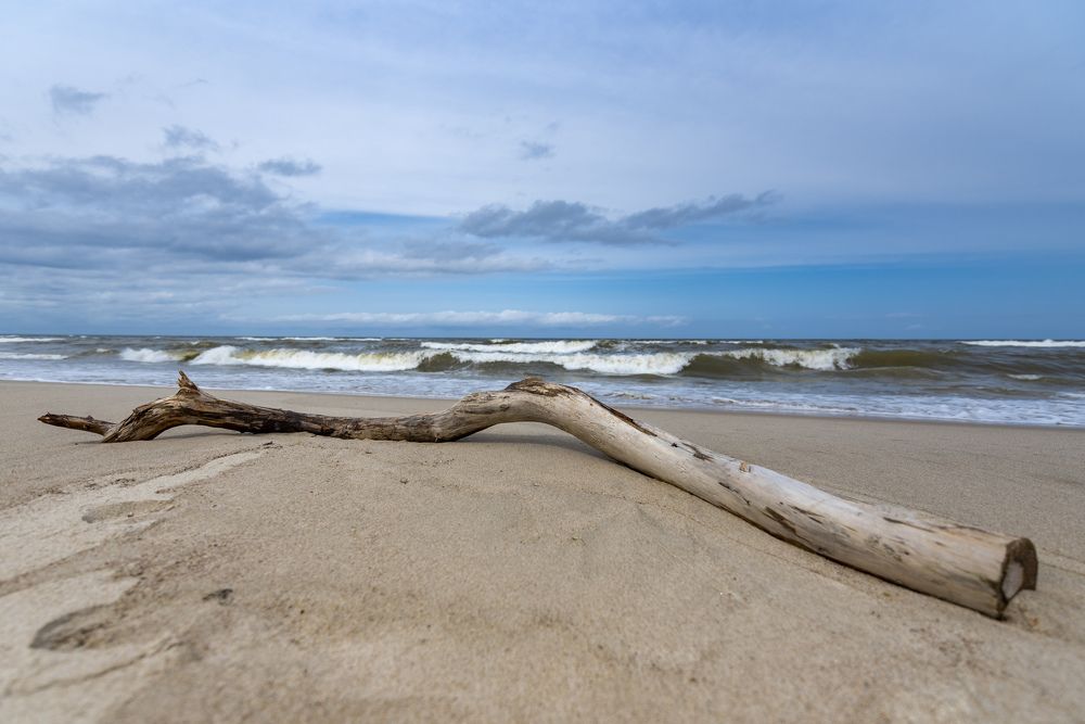 Photograph by Алексей Новиков