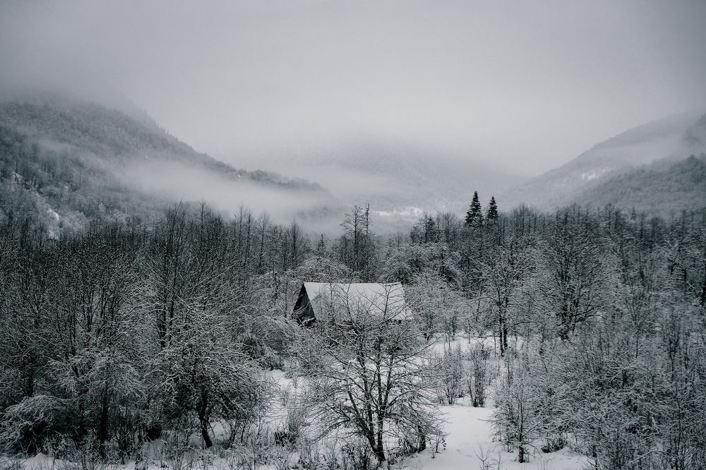 Photograph by Алеся Сафарова