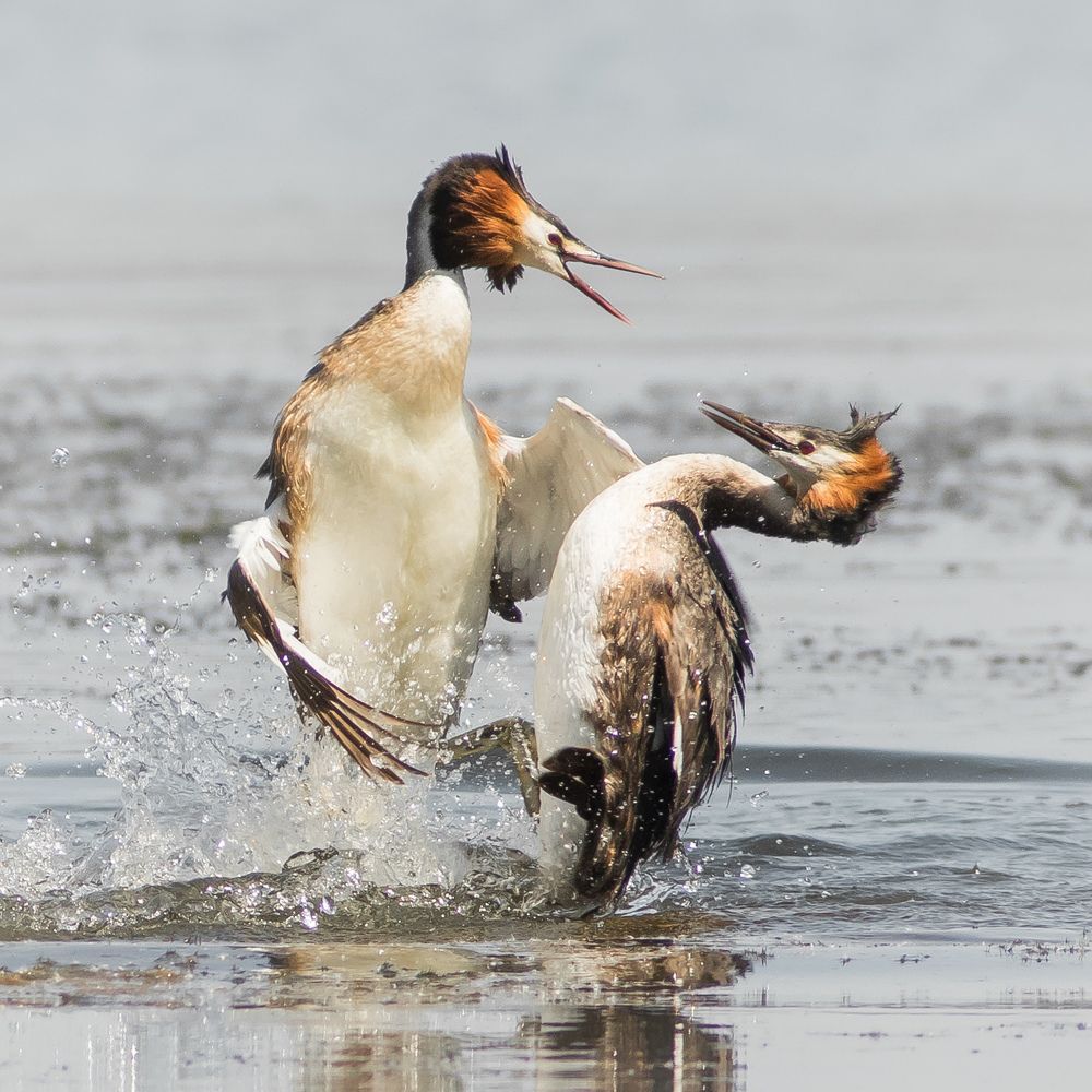 Фотография автора Суслов Дмитрий