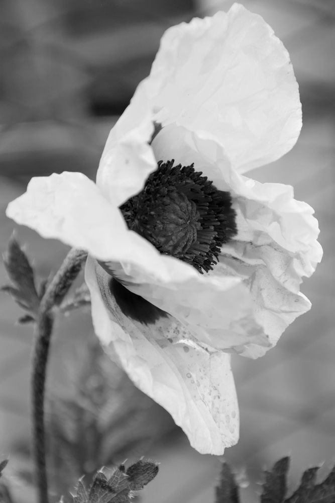 Photograph by  Татьяна Дорожко