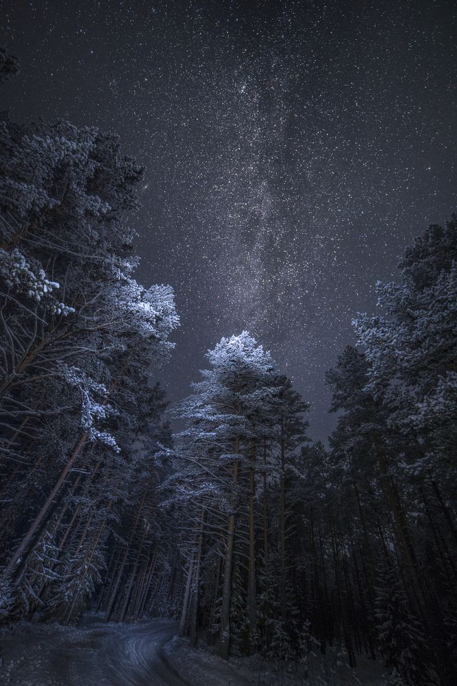 Photograph by Николай Лысцев