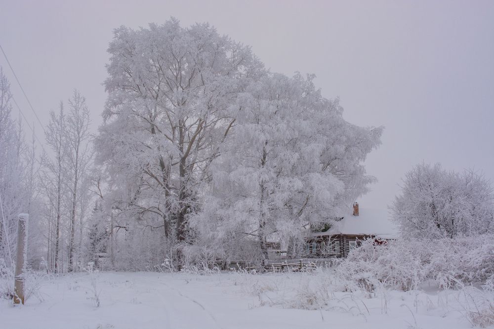 Photograph by Николай Лысцев